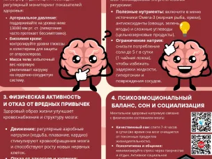 Семь столпов здорового мозга